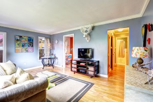 Light blue living room interior with white elk head on the wall.